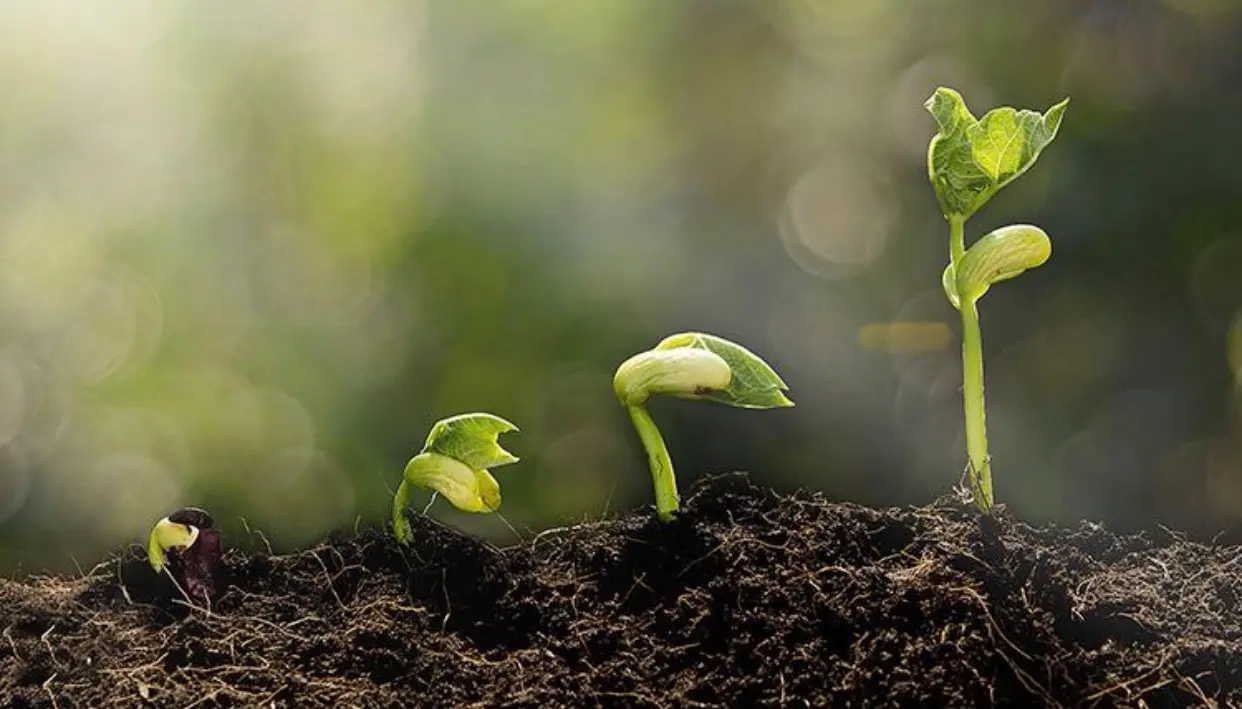 好运都是自己打拼出来的